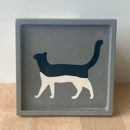 Square tray